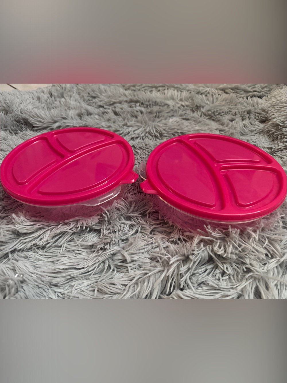 Pink Divided Travel Snack & Accessory Case